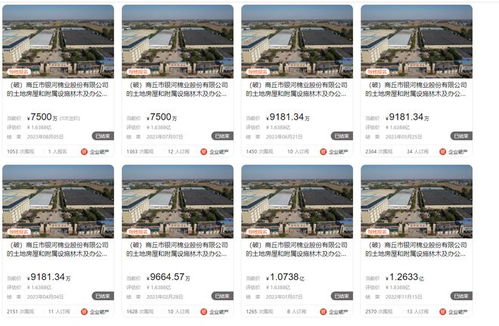 商丘市銀河棉業(yè)破產(chǎn),大型廠房第八次拍賣,7500萬就成交了