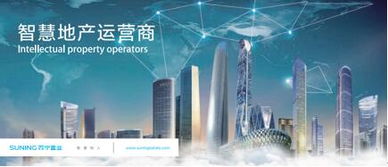 蘇寧置業(yè)集團(tuán)品牌戰(zhàn)略升級